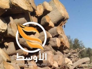 حطب المشـاوي والتدفئـة للتصدير